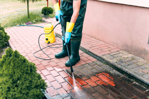 Local Pressure Washing Services in Roseville, MI