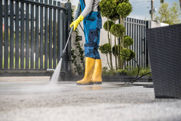 Best House Pressure Washing  in Roseville, MI