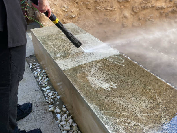 Best Concrete Pressure Washing  in Roseville, MI