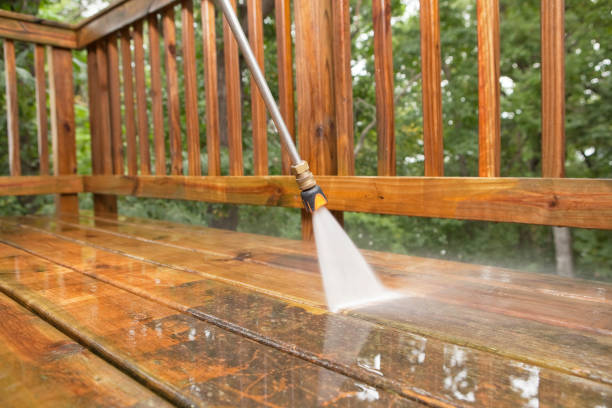 Best Affordable Pressure Washing  in Roseville, MI