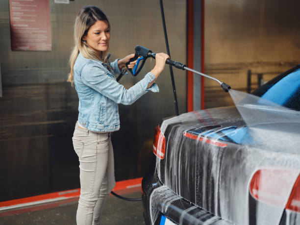 Best Local Pressure Washing Services  in Roseville, MI
