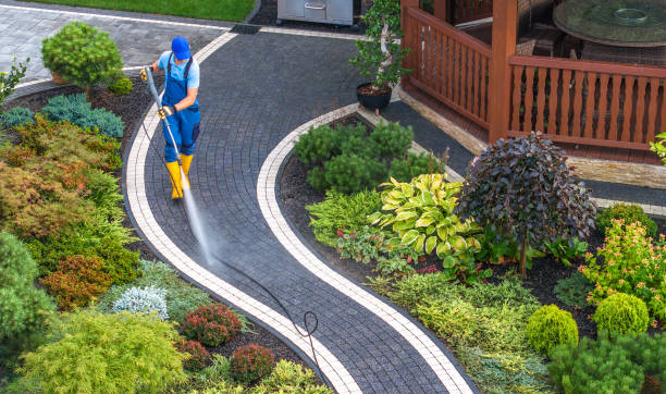 Best Residential Pressure Washing Services  in Roseville, MI