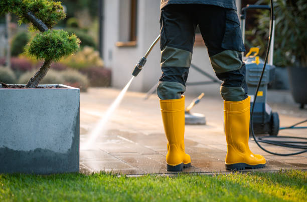 Best Roof Power Washing Services  in Roseville, MI